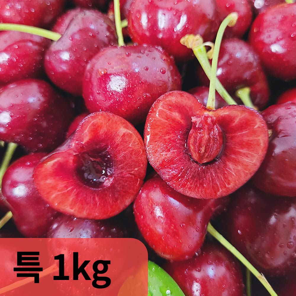 1754626025 thumbnail