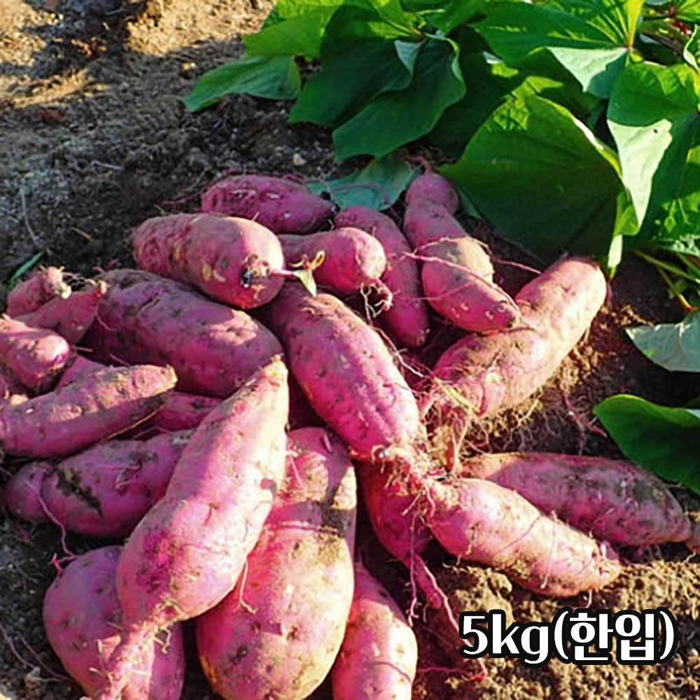 1754960824 thumbnail