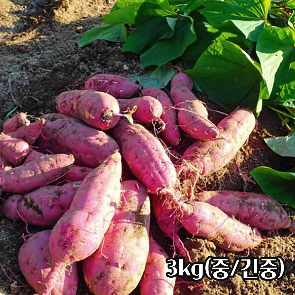 1754960826 thumbnail