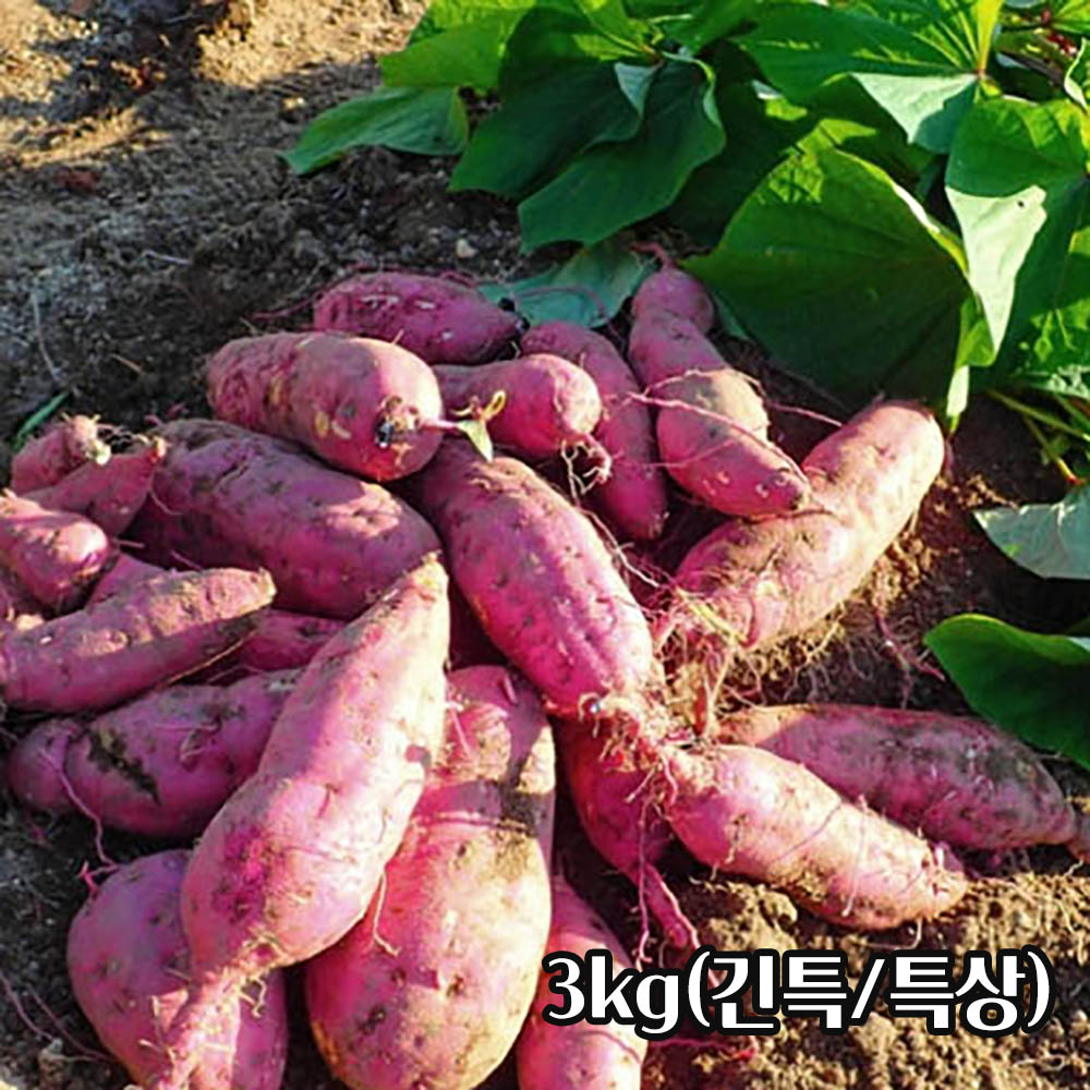 1754960829 thumbnail