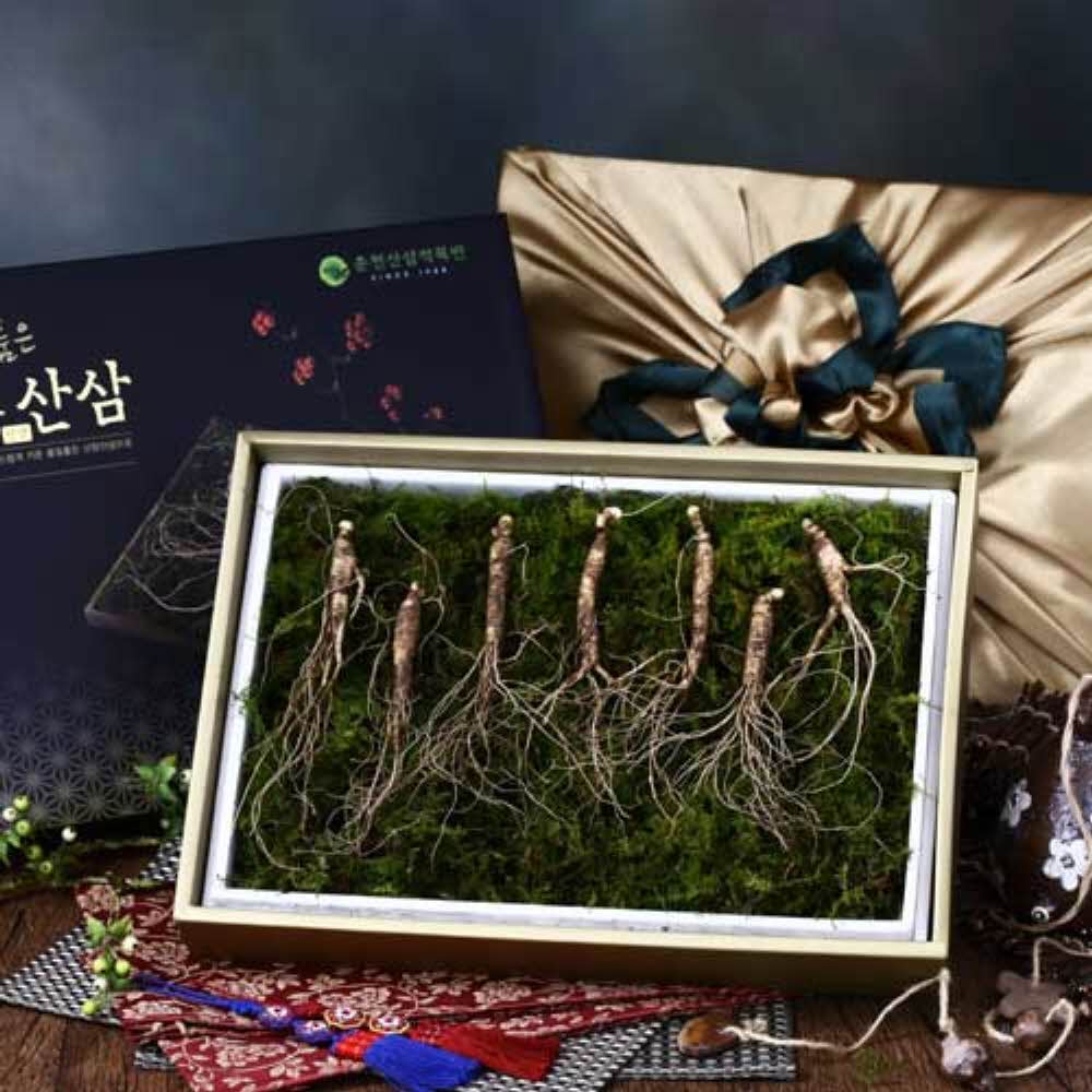 1755064442 thumbnail