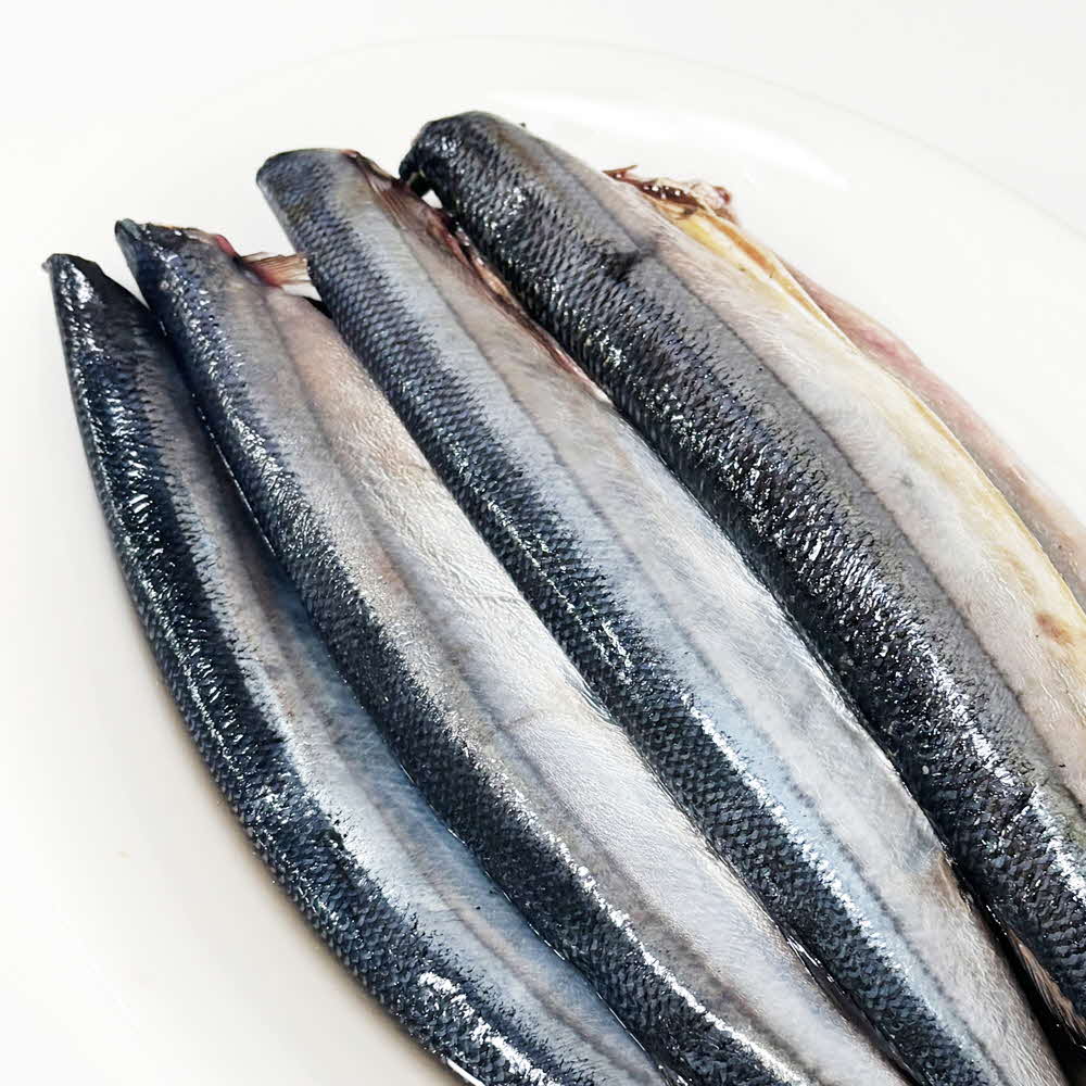 1755489234 thumbnail