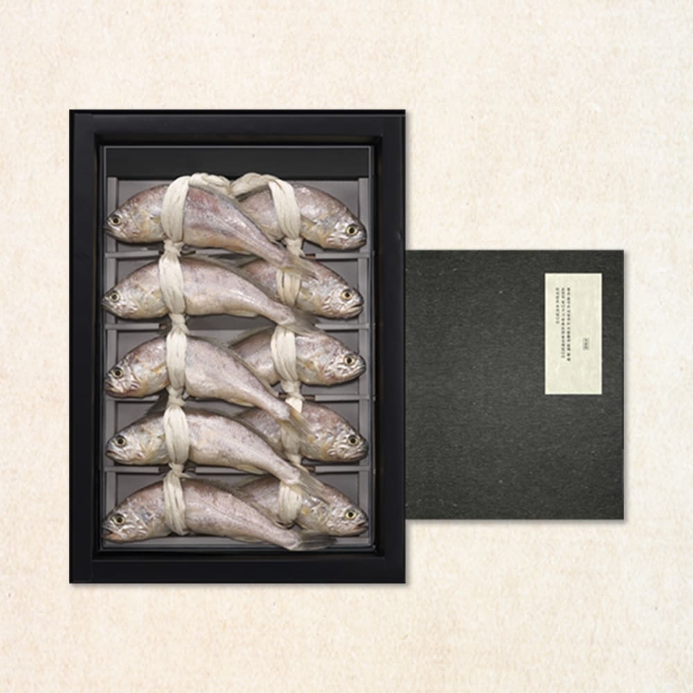 1755504797 thumbnail