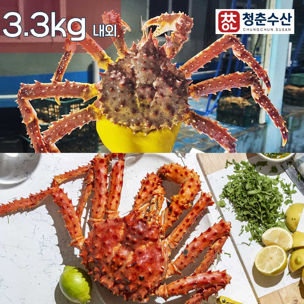 1755586627 thumbnail