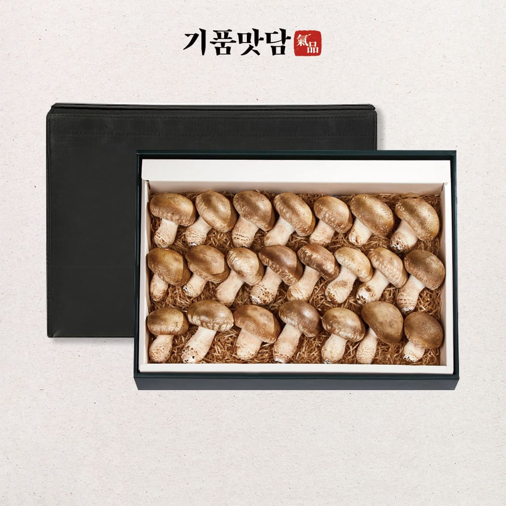 1755589523 thumbnail