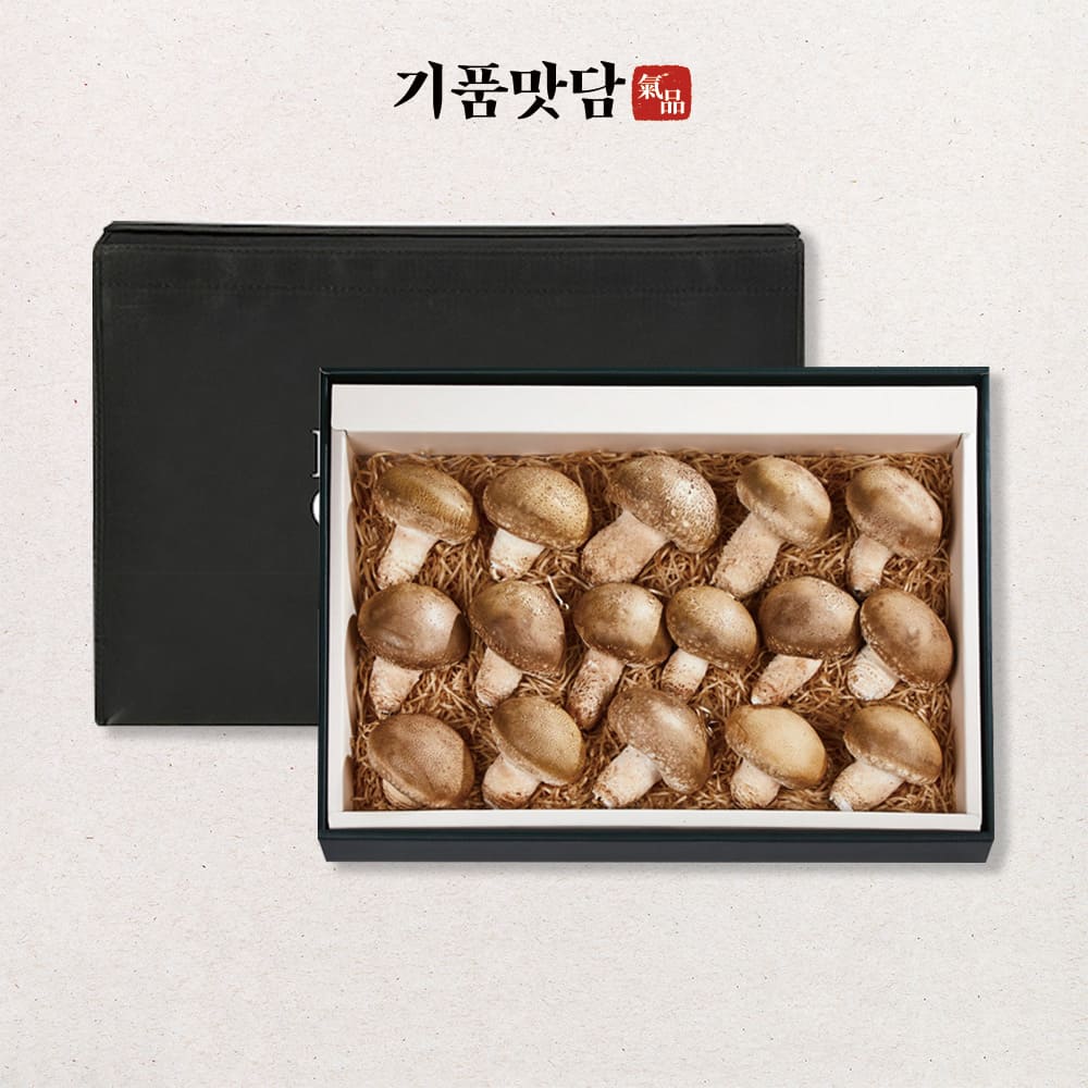 1755589524 thumbnail