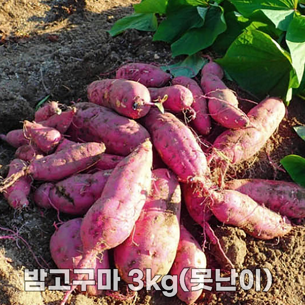 1755837780 thumbnail