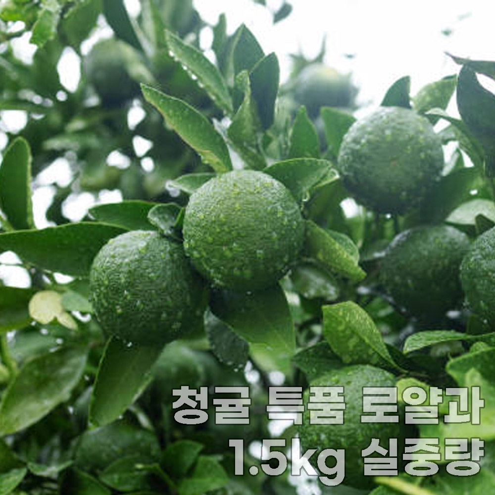 1756183834 thumbnail