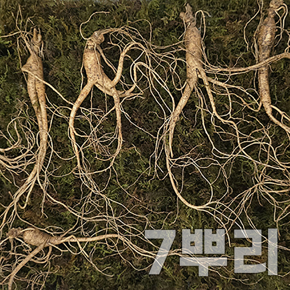 1756793035 thumbnail