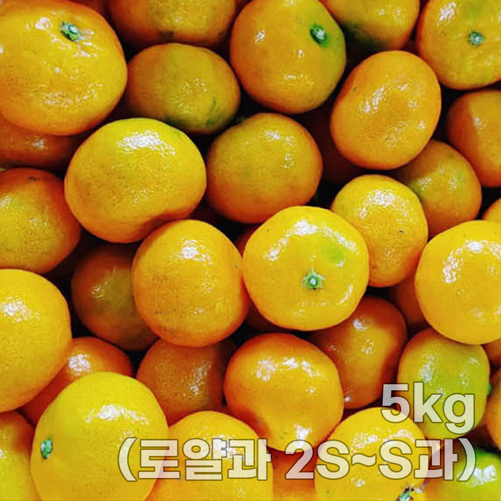 1758096844 thumbnail