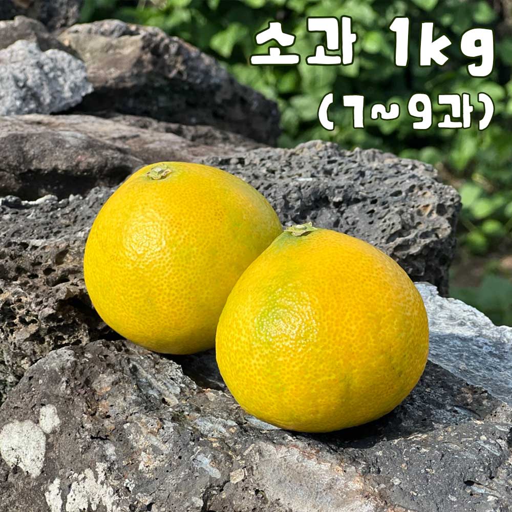 1758173097 thumbnail
