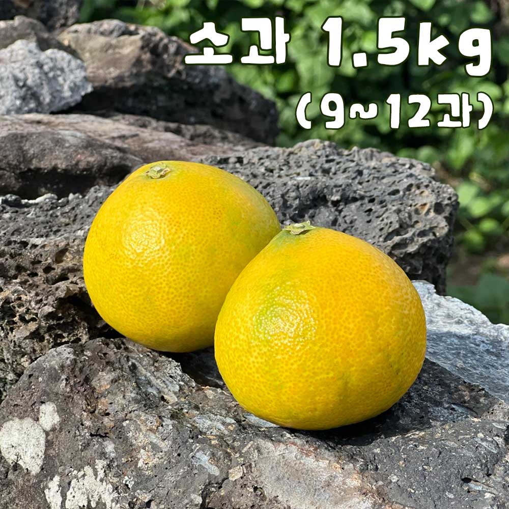 1758173098 thumbnail