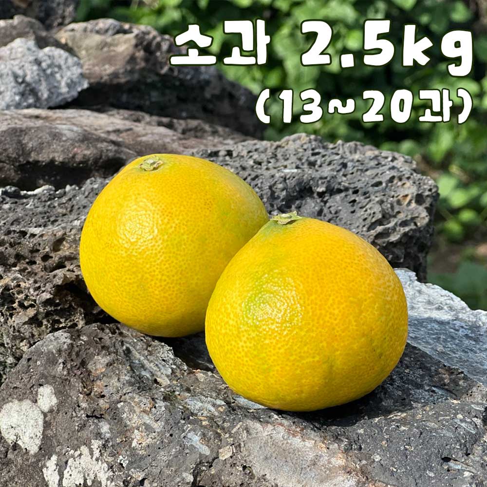 1758173099 thumbnail