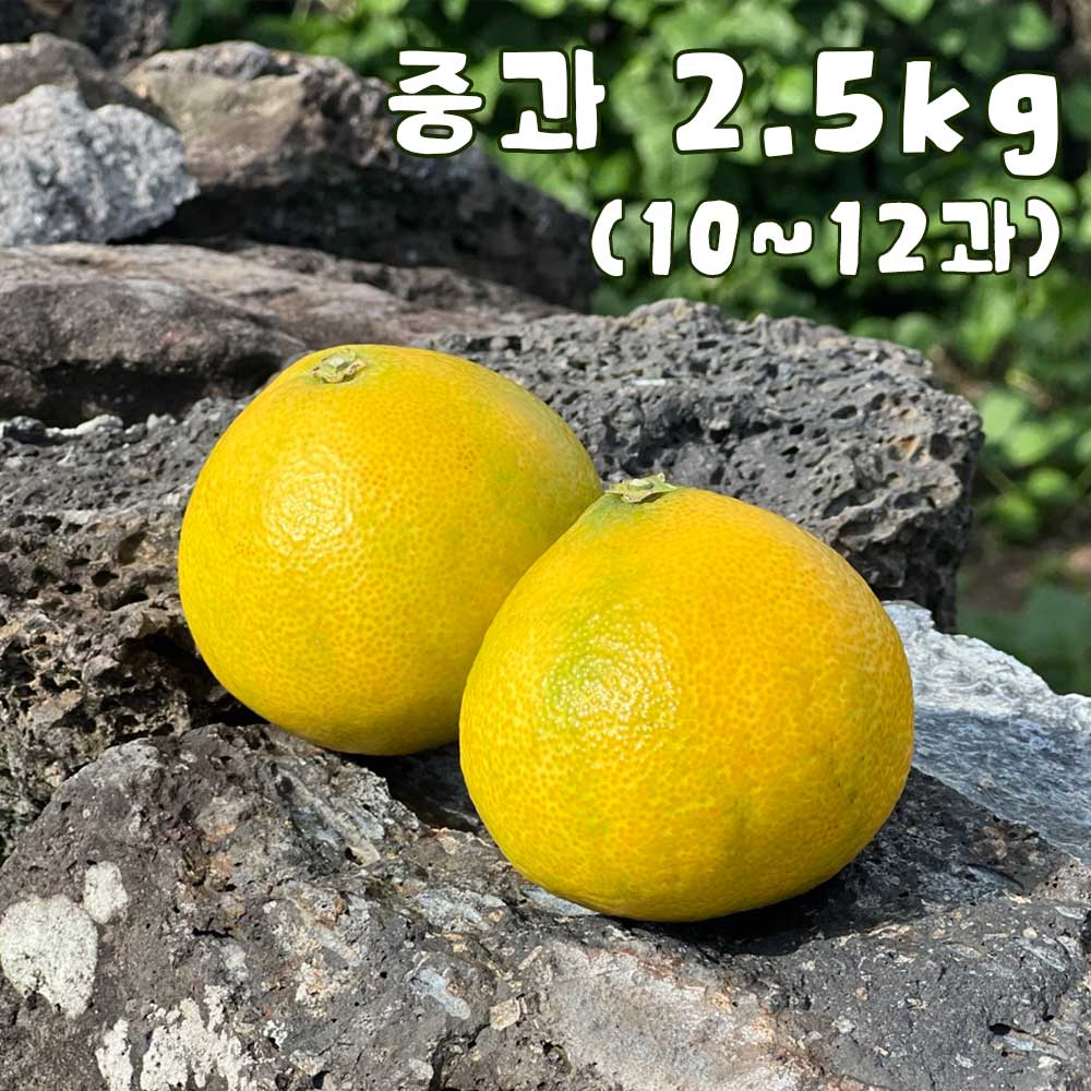 1758173103 thumbnail