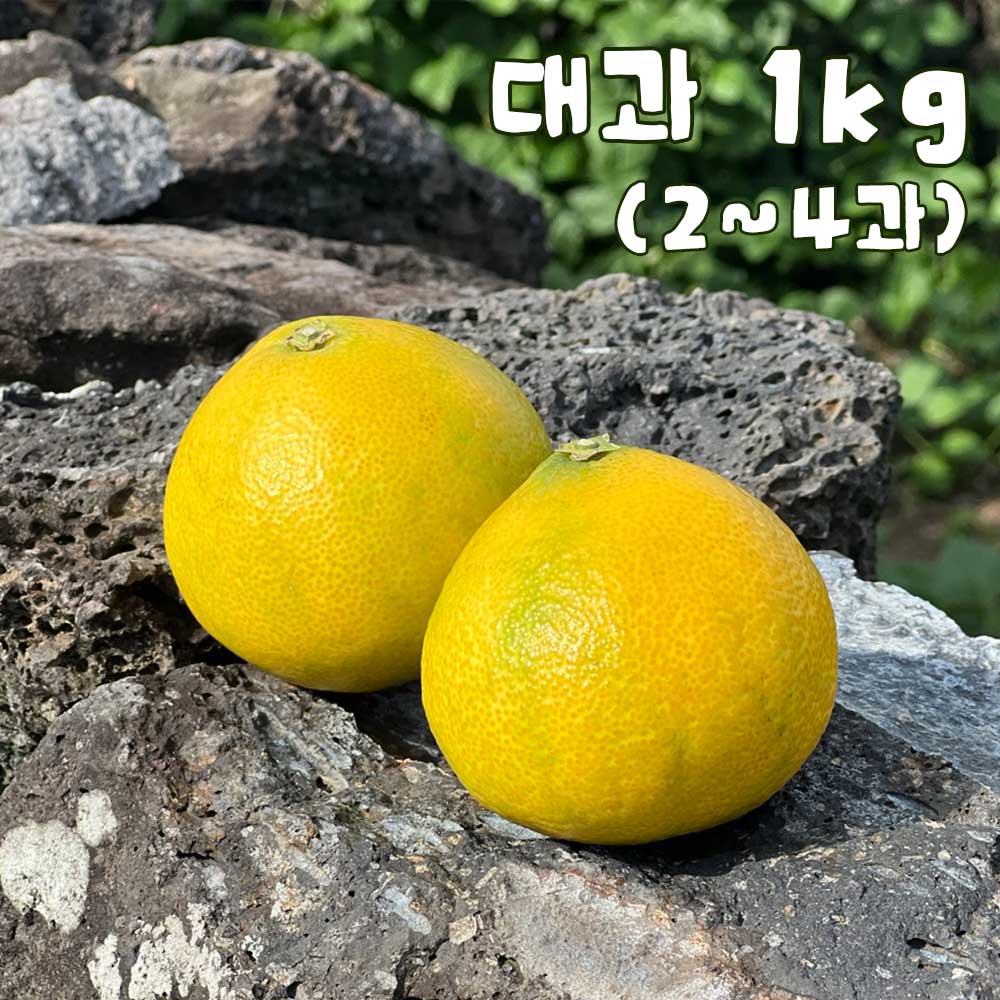 1758173105 thumbnail