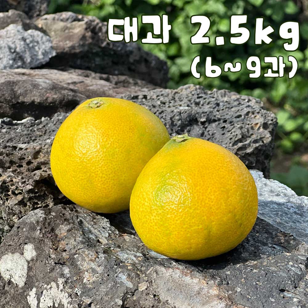 1758173107 thumbnail