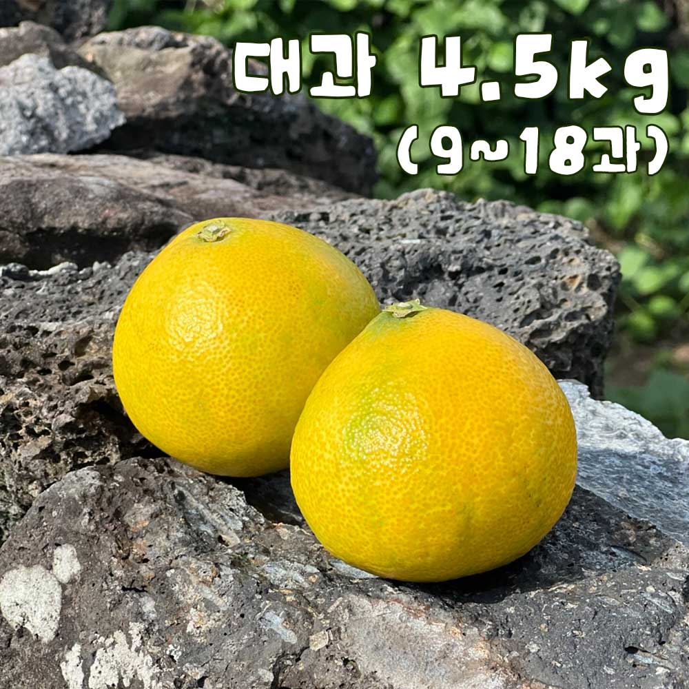 1758173108 thumbnail