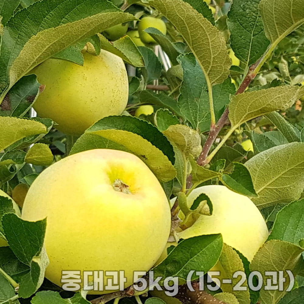 1758856242 thumbnail