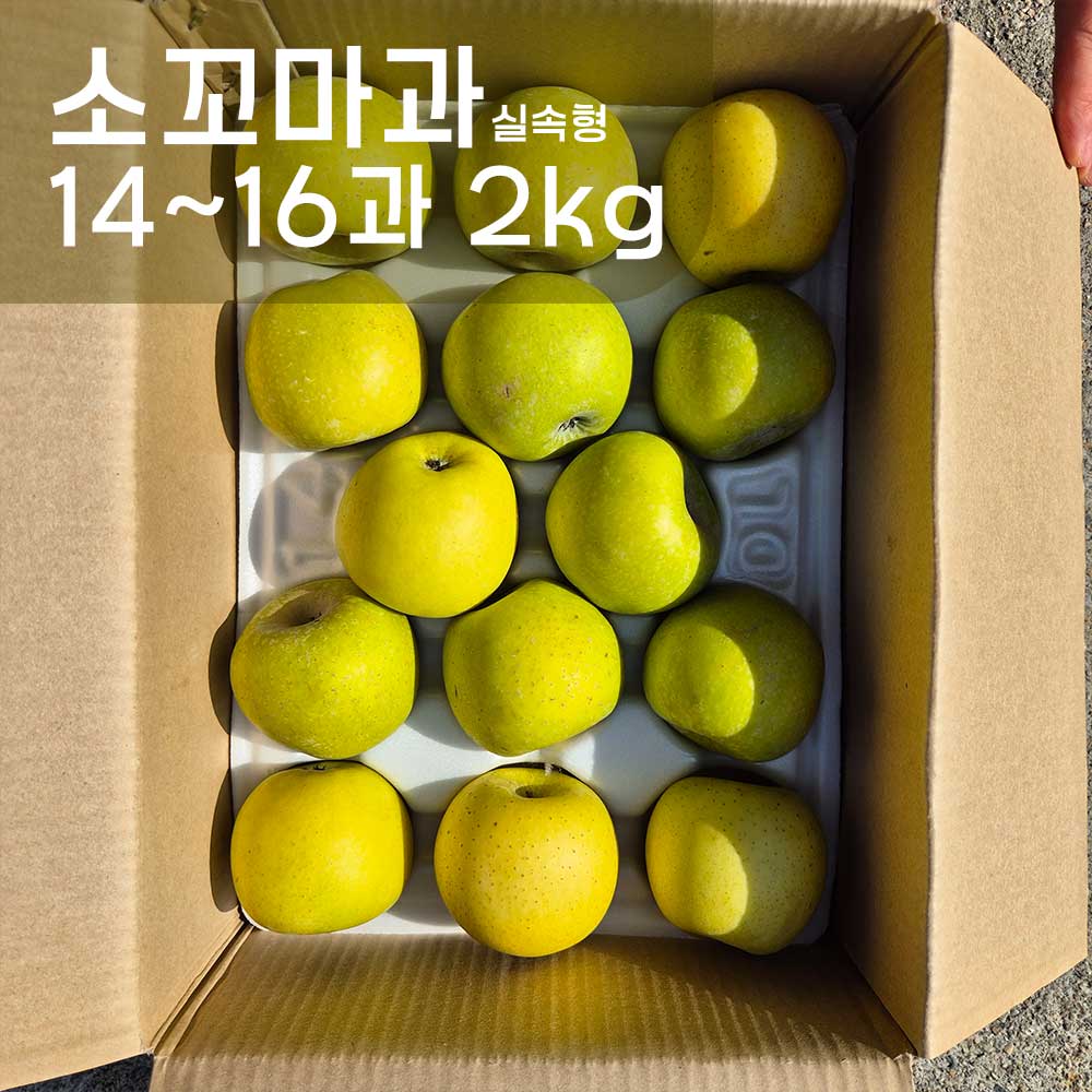 1759132104 thumbnail