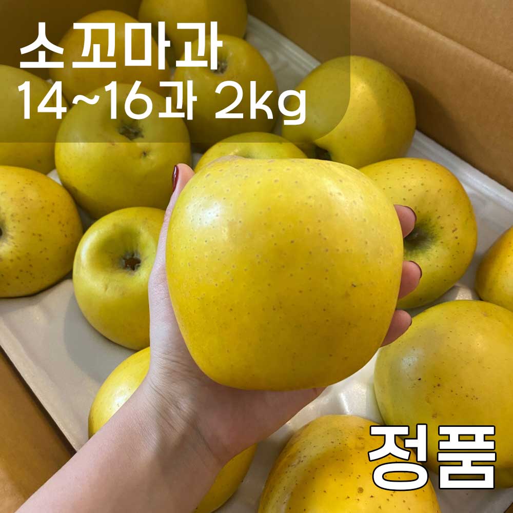 1759132108 thumbnail