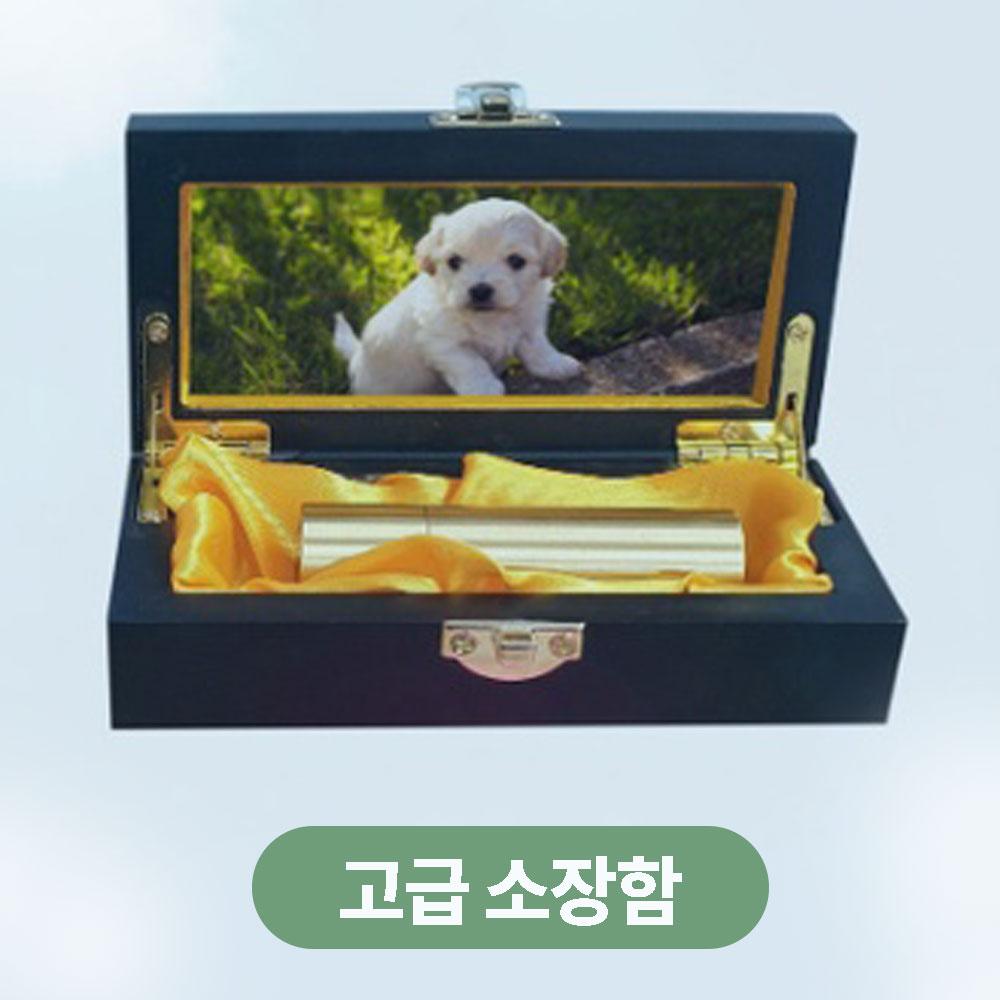 1759283851 thumbnail