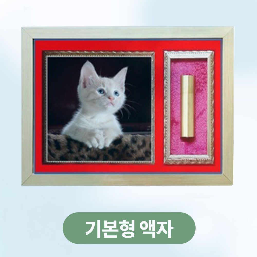 1759283852 thumbnail