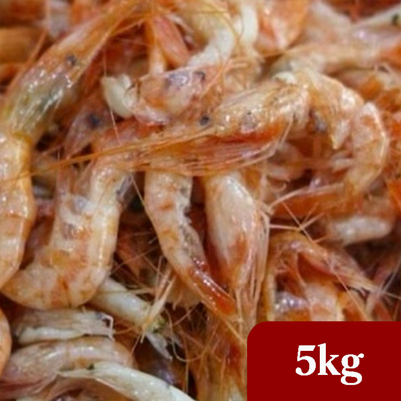 1760924885 thumbnail