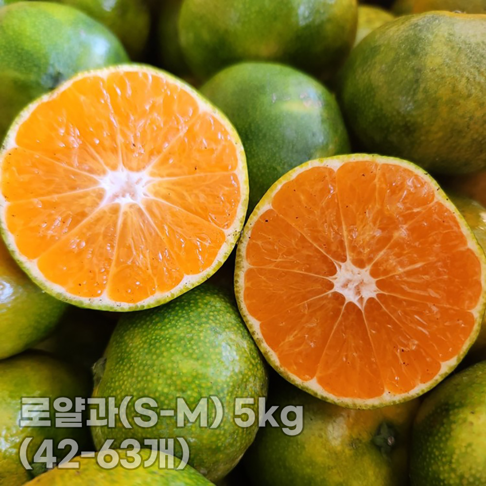 1761030975 thumbnail