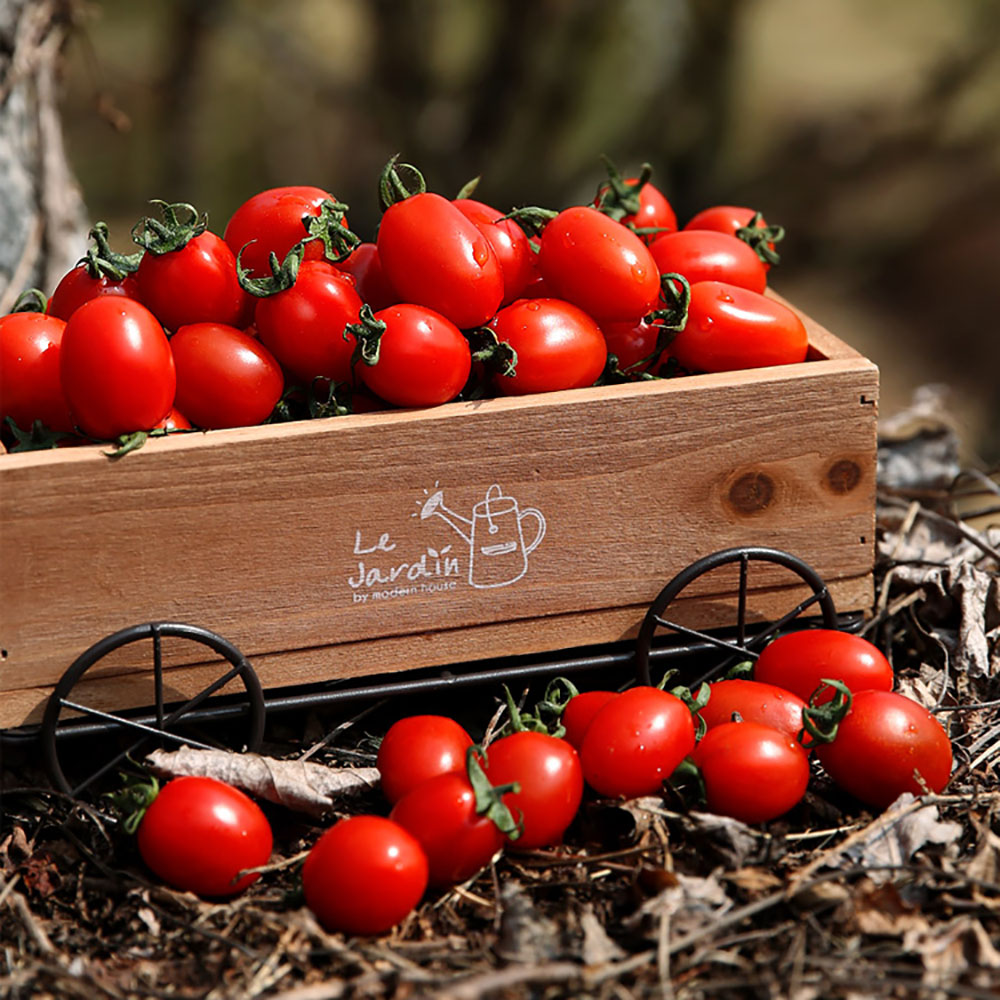 1761208457 thumbnail