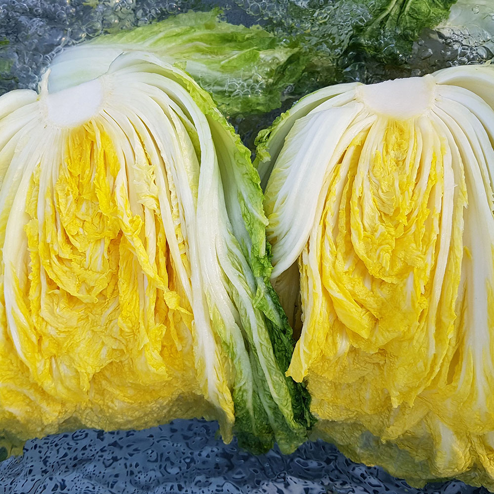 1761208643 thumbnail