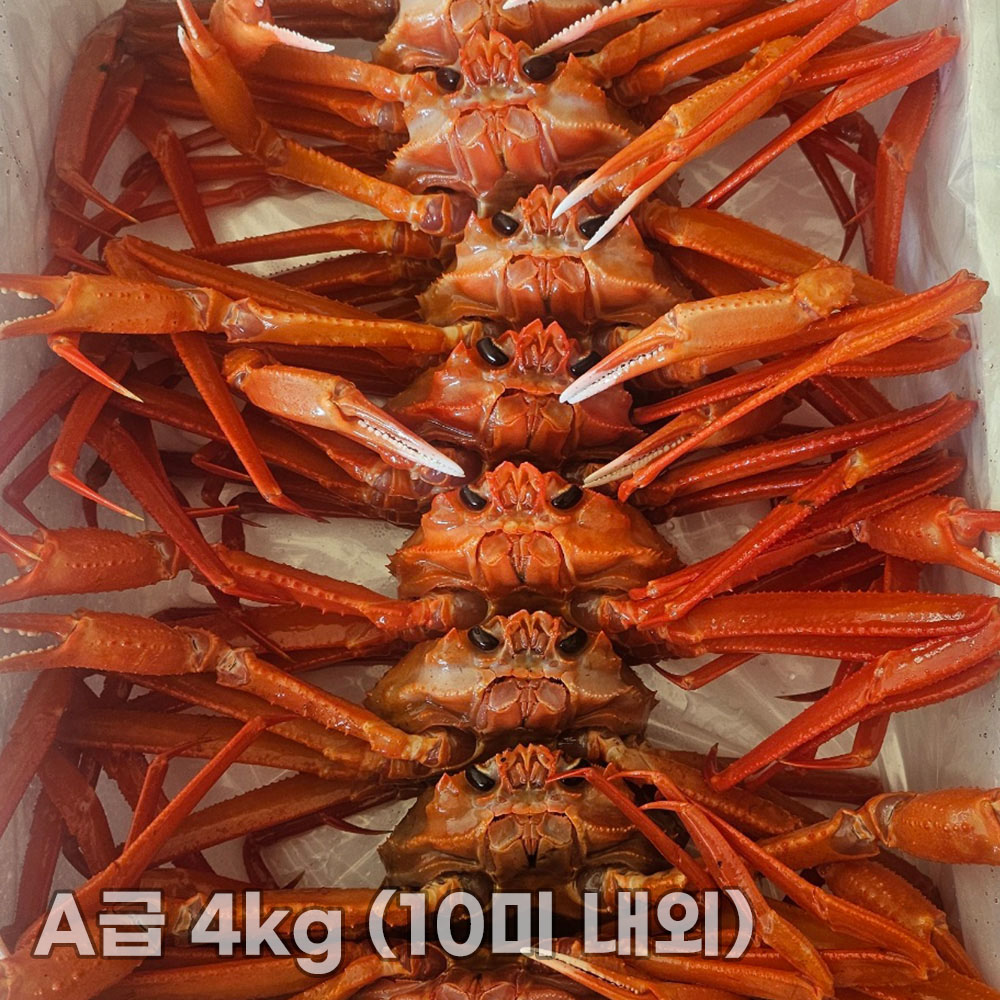 1761549707 thumbnail