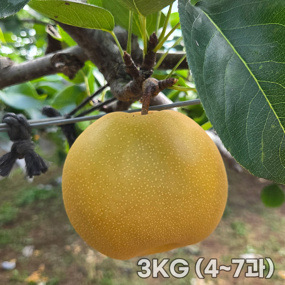 1761812681 thumbnail