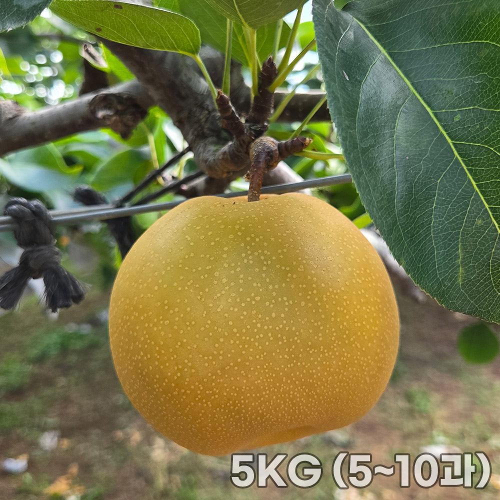 1761812682 thumbnail