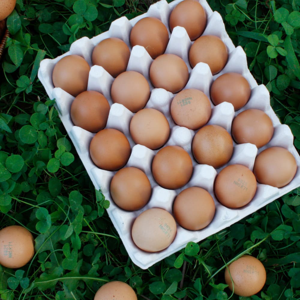 1761812751 thumbnail