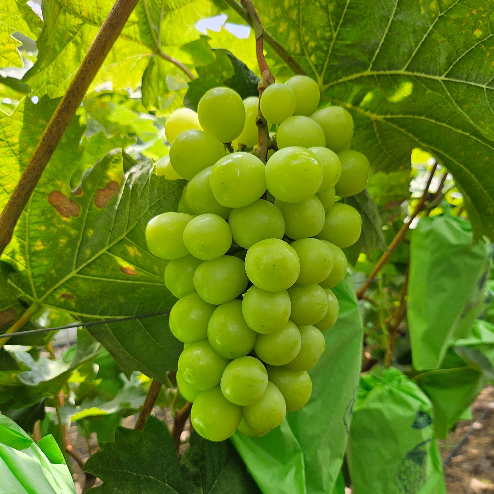 1761885222 thumbnail