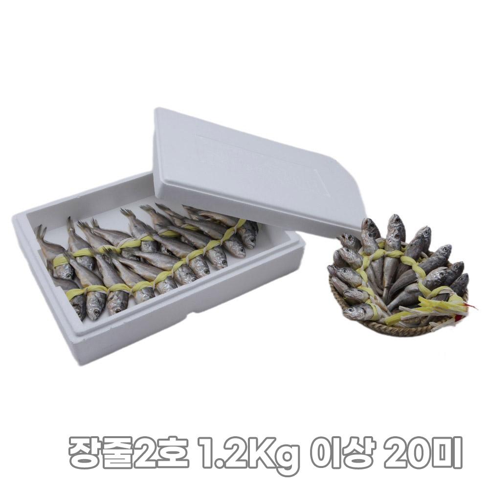 1761885223 thumbnail