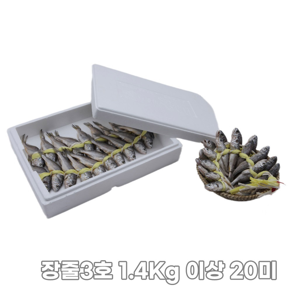 1761885226 thumbnail