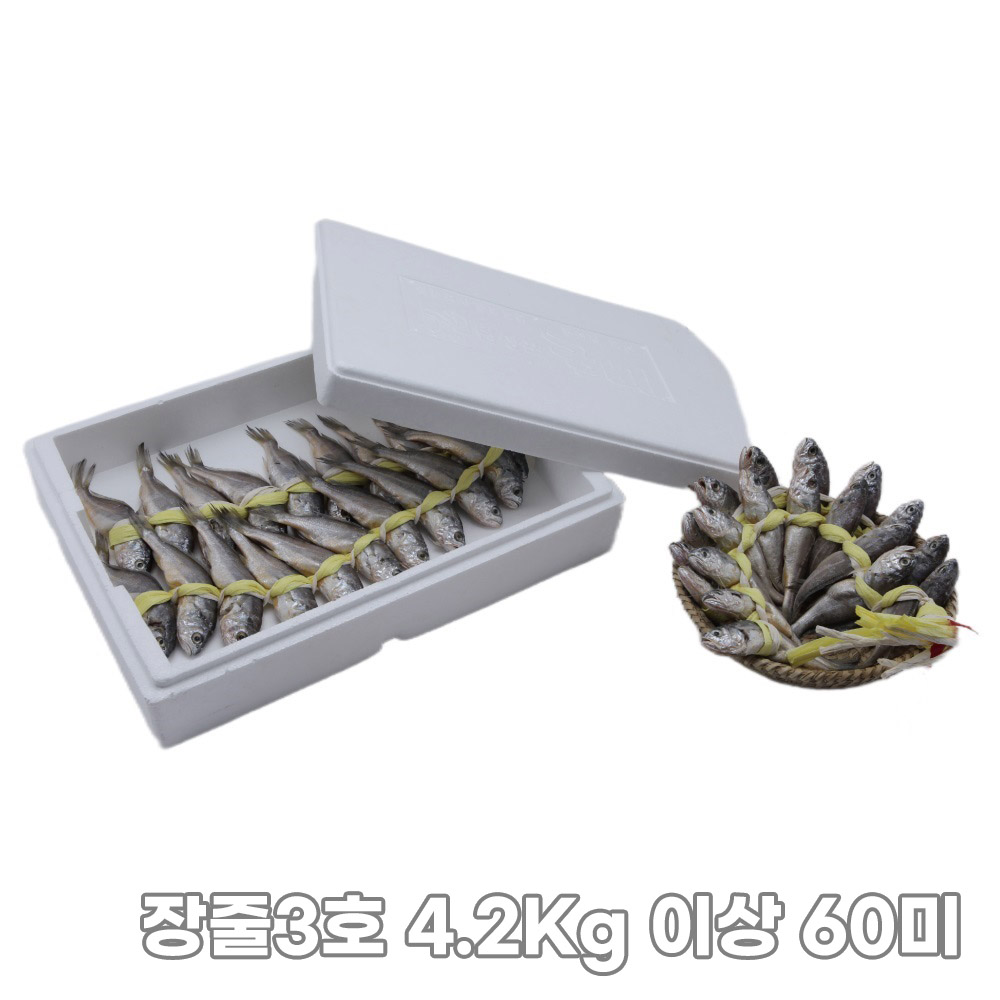 1761885228 thumbnail