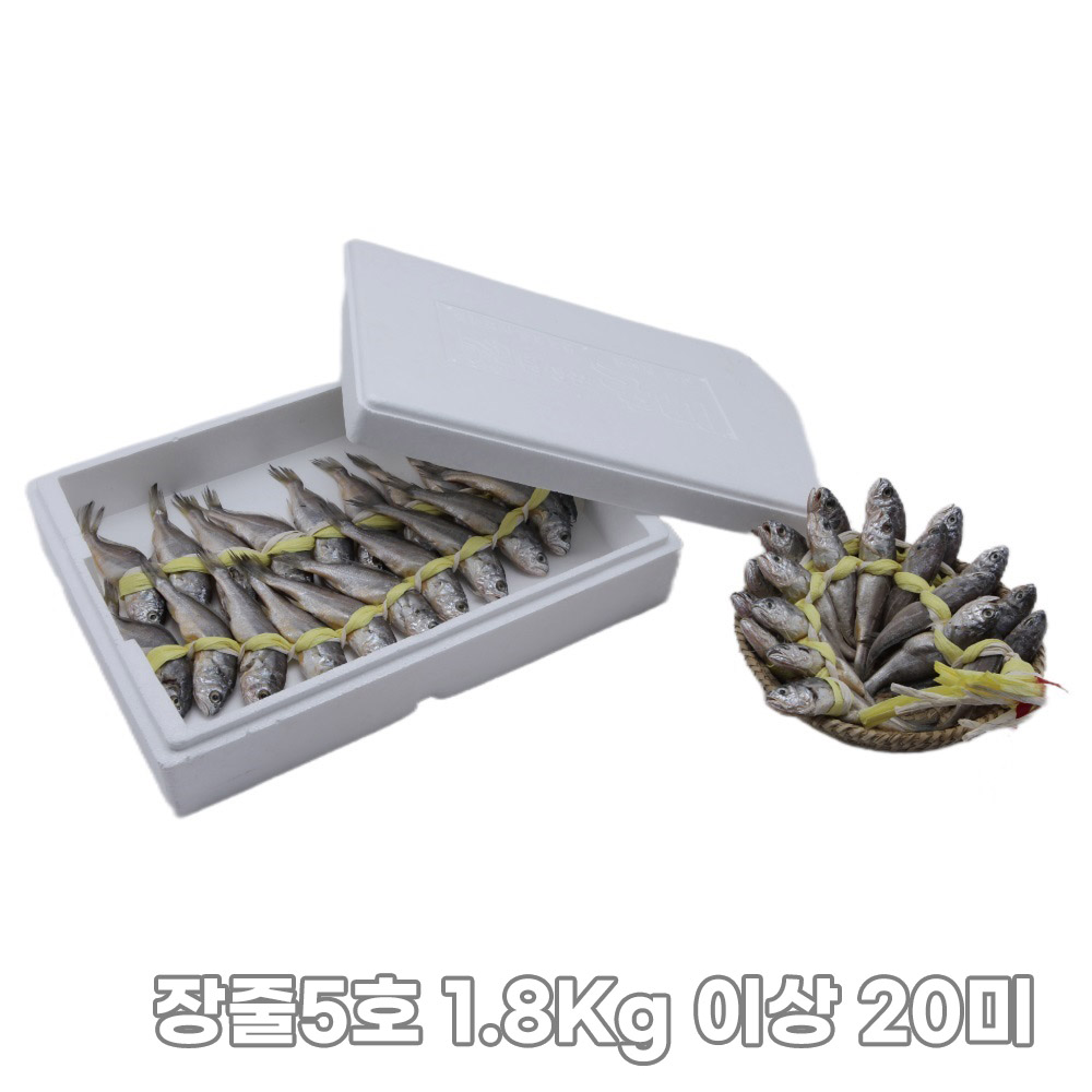 1761885230 thumbnail