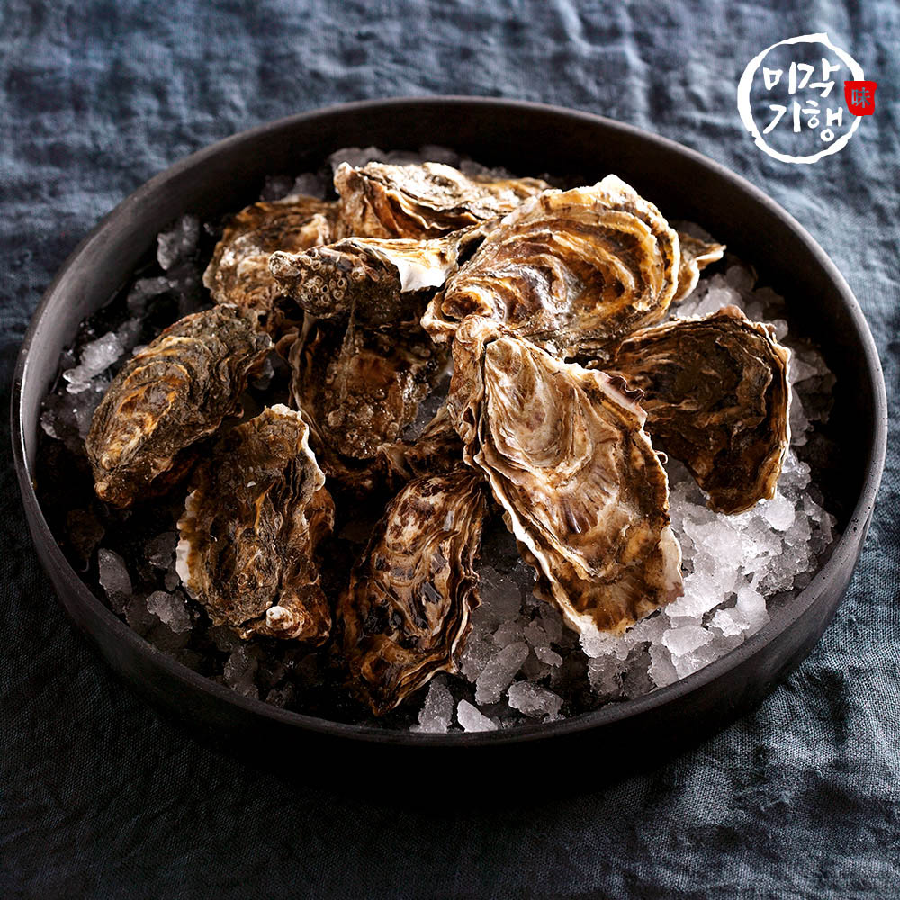 1762150183 thumbnail