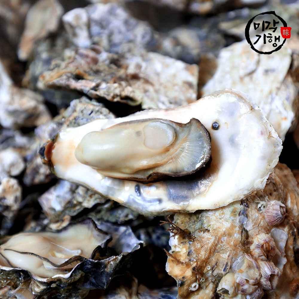 1762150184 thumbnail