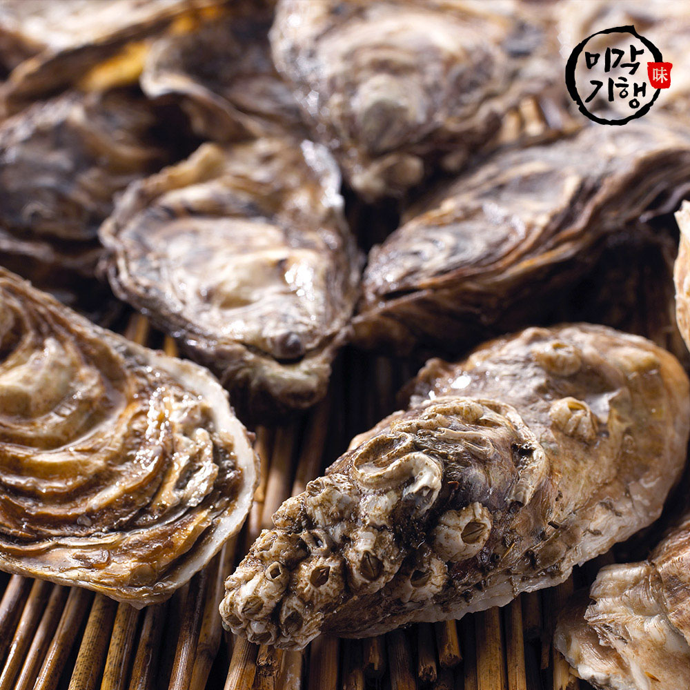 1762150185 thumbnail