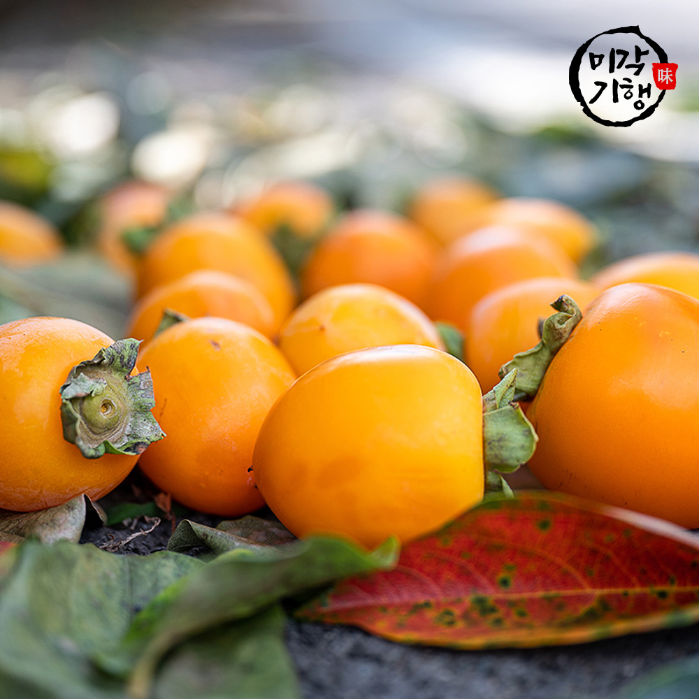 1762150210 thumbnail