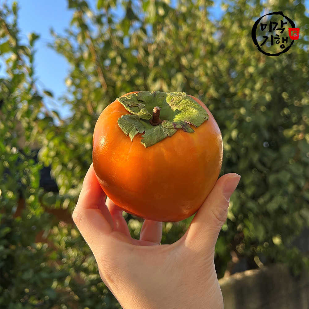 1762150212 thumbnail