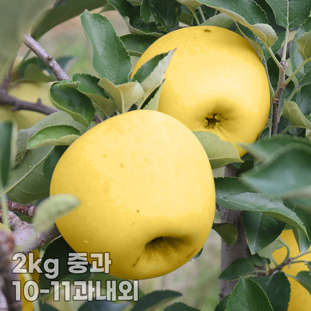 1762150226 thumbnail