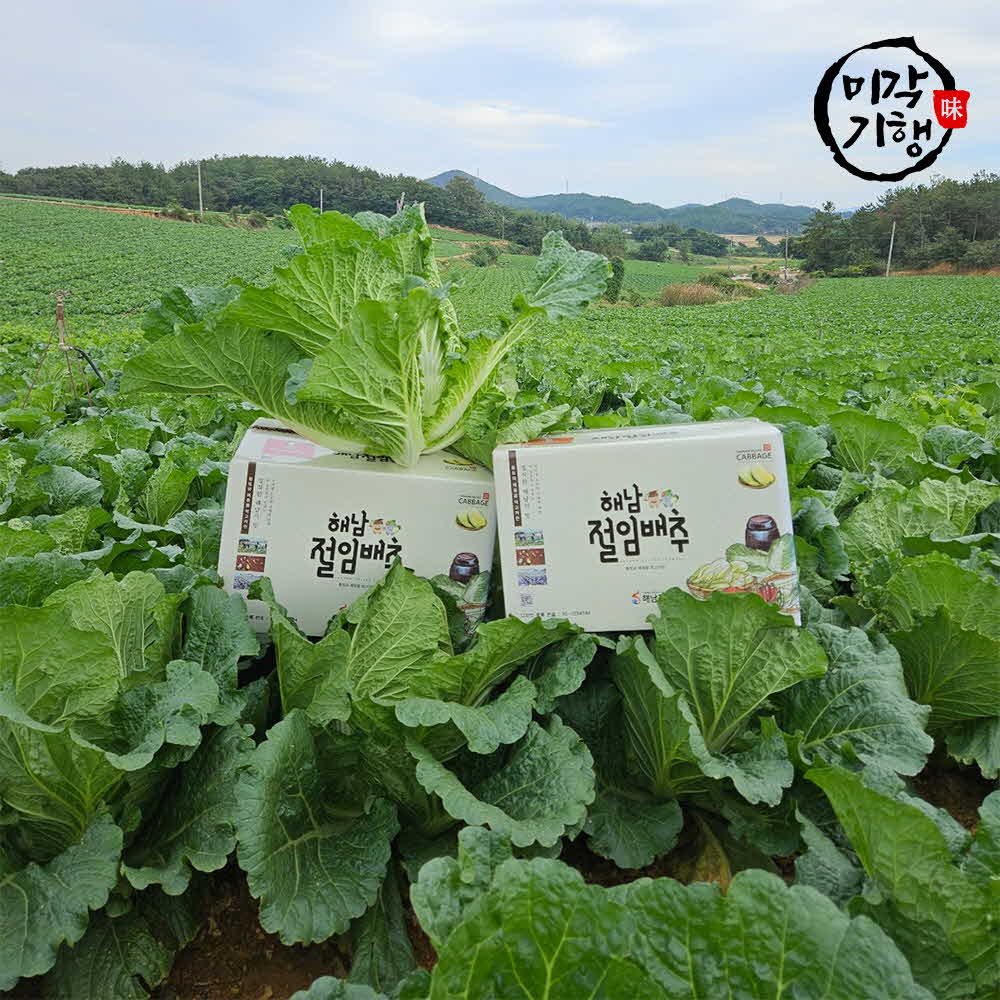 1762310769 thumbnail