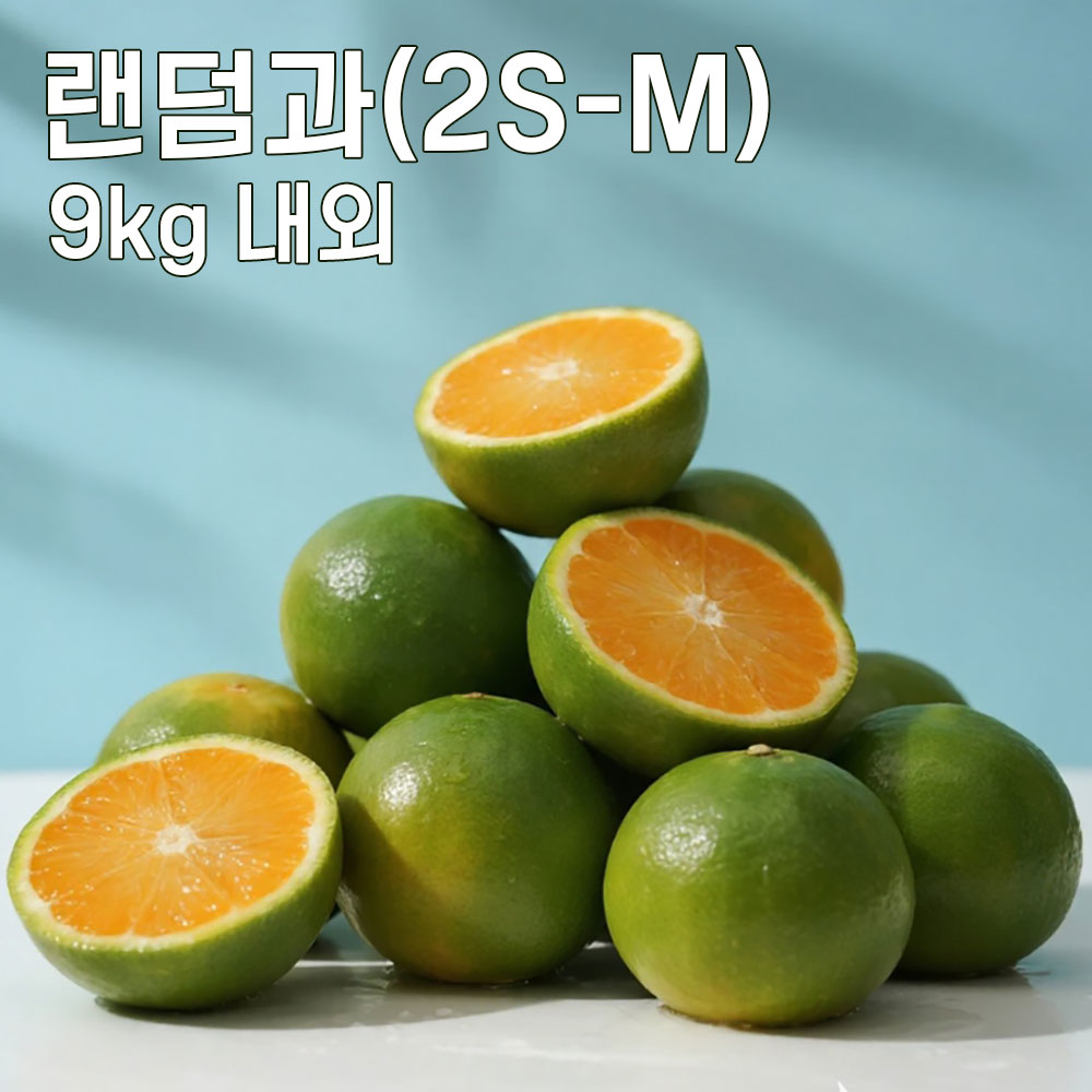 1762925919 thumbnail