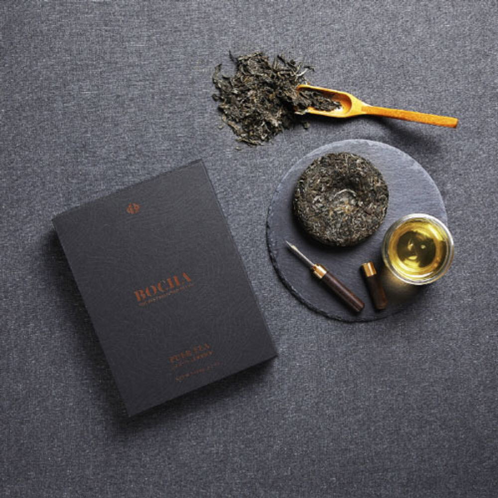 1762925965 thumbnail