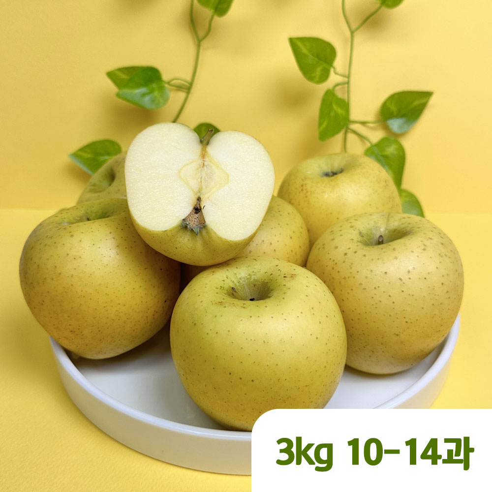 1763091243 thumbnail