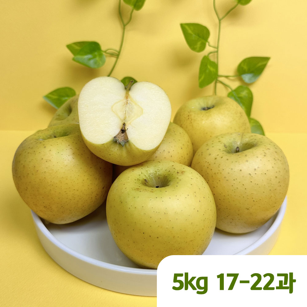 1763091244 thumbnail